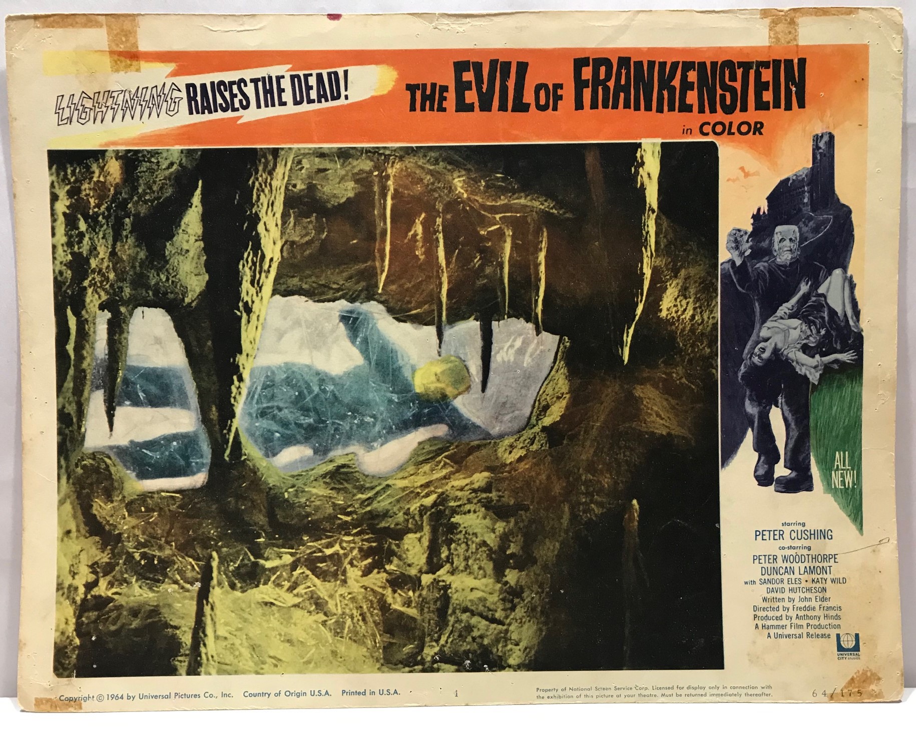 EVIL OF FRANKENSTEIN - IMG_4579