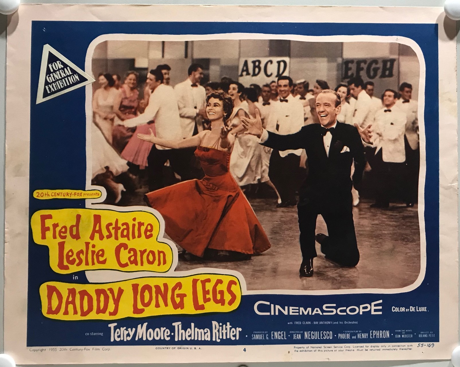 DADDY LONG LEGS - IMG_7372