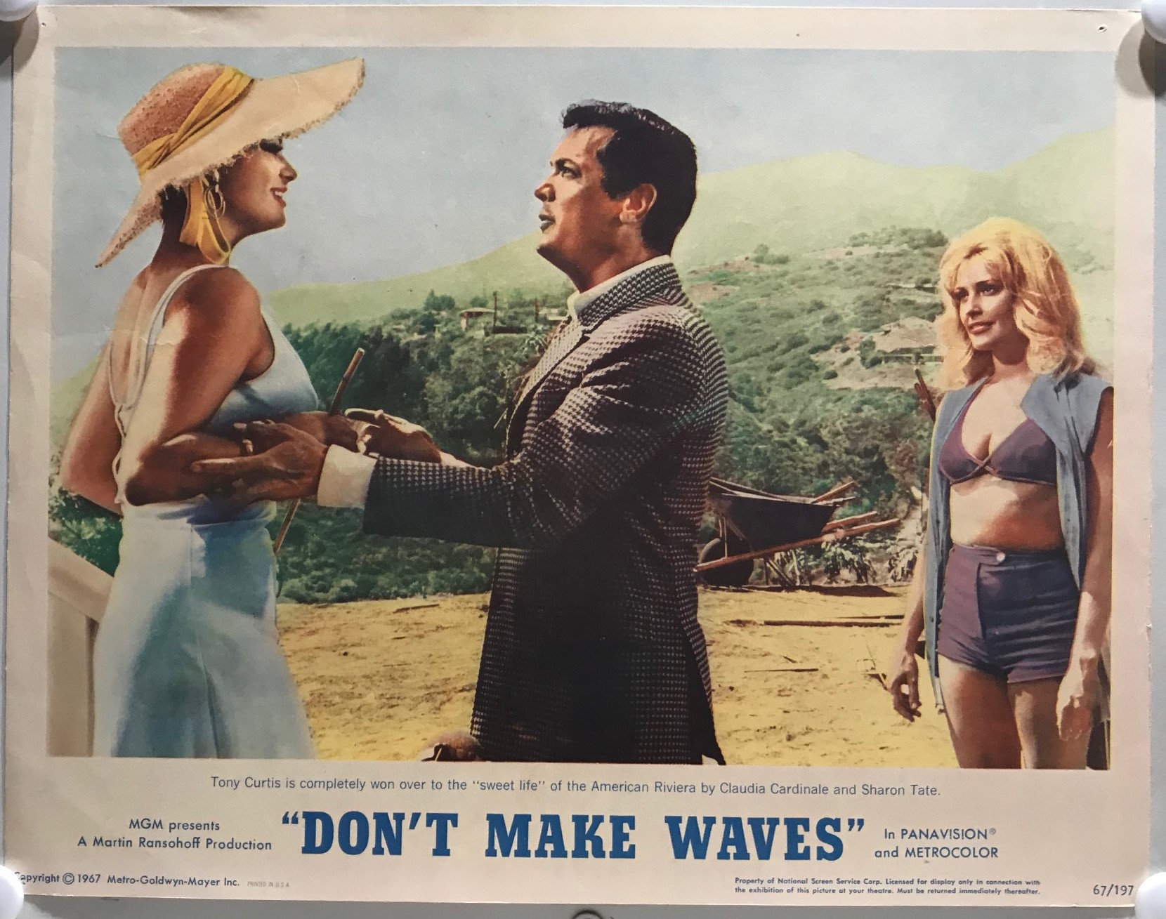 DON'T MAKE WAVES - IMG_7370
