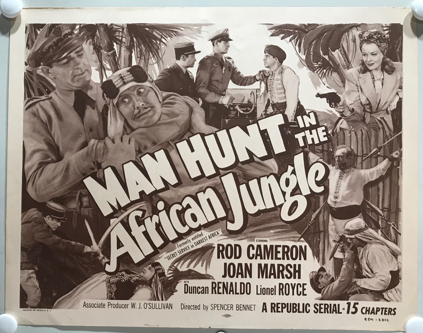manhunt in african jungle - IMG_9496