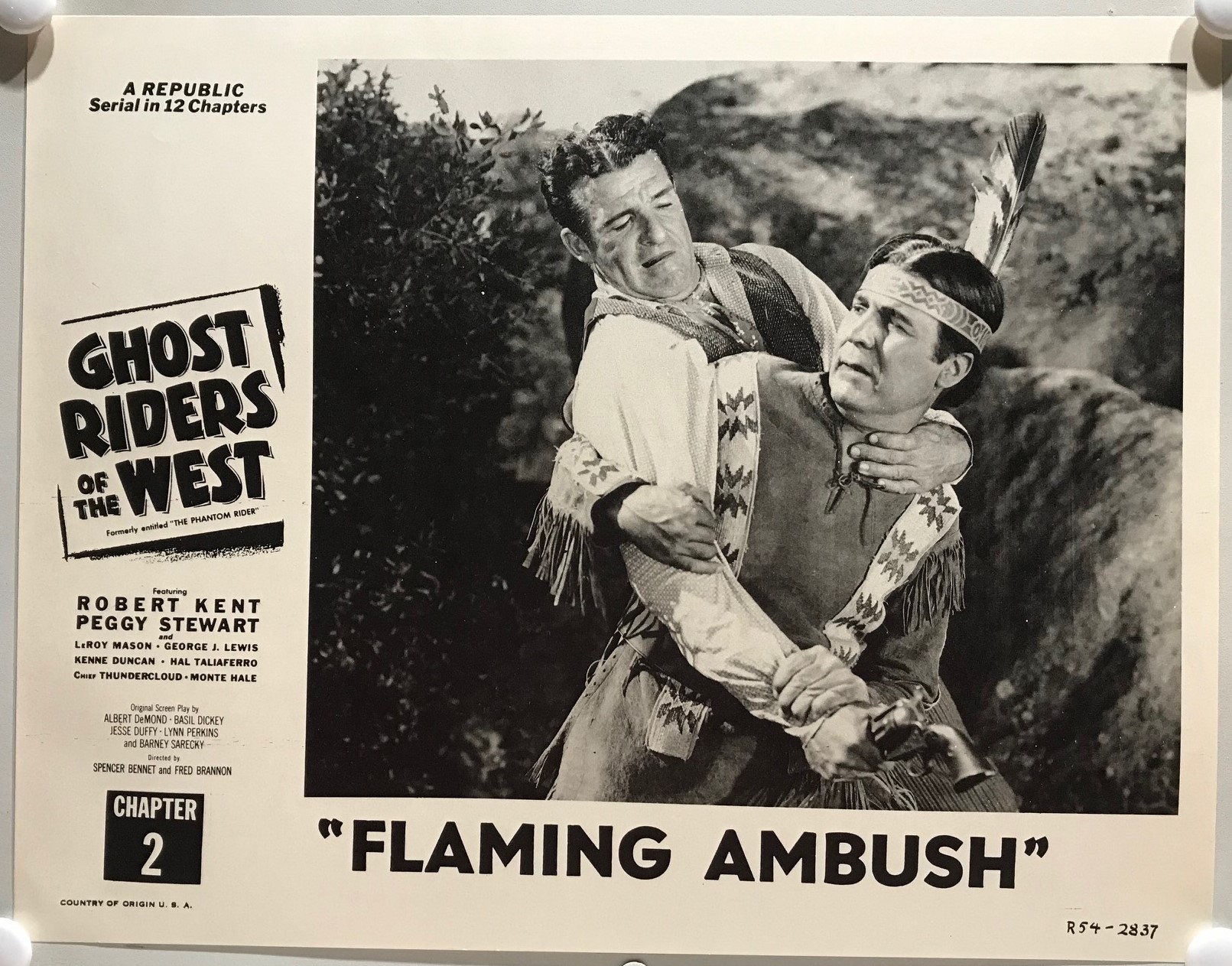 FLAMING AMBUSH - D - IMG_9544