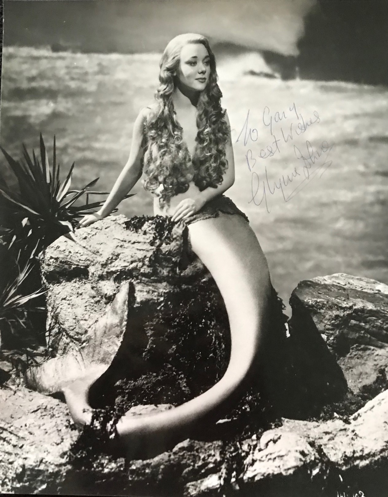 GLYNNIS JOHNS - IMG_2696