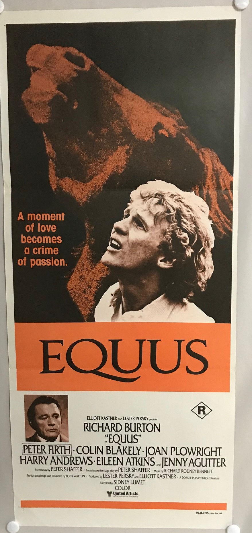 EQUUS IMG_4800