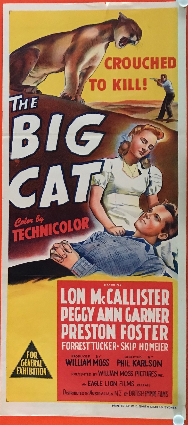 BIG CAT -IMG_6325