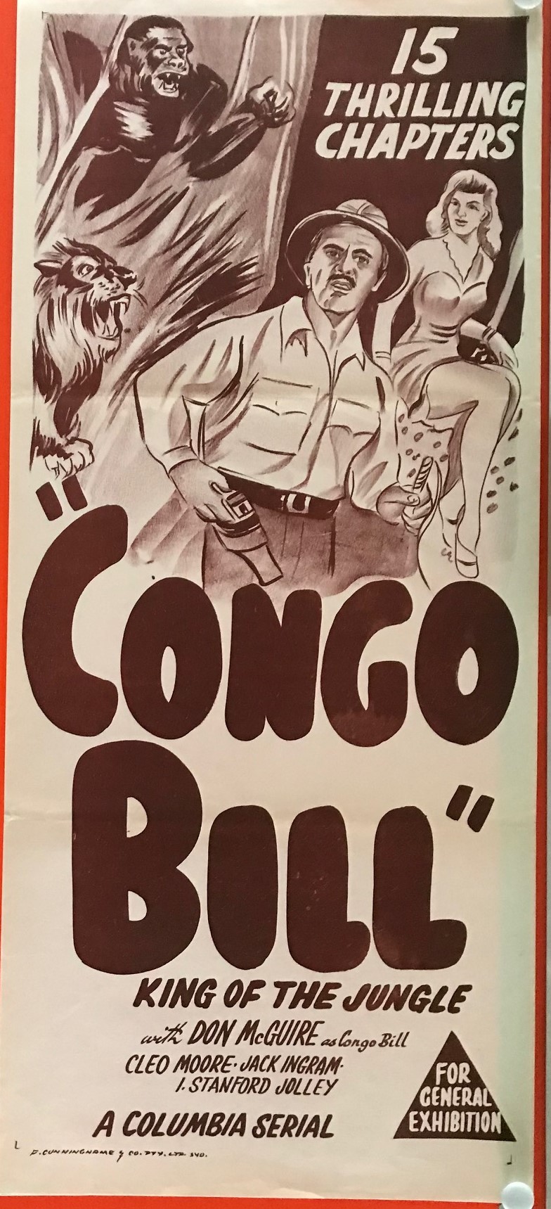 CONGO BILL - IMG_6342