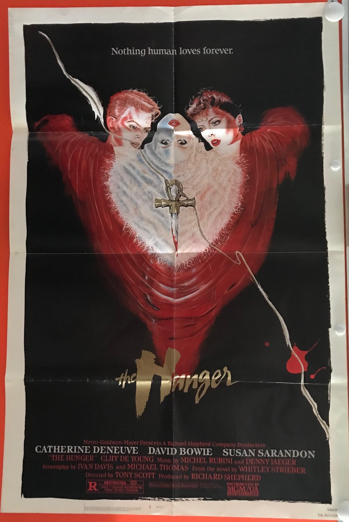 29 - HUNGER (THE) - IMG_6901