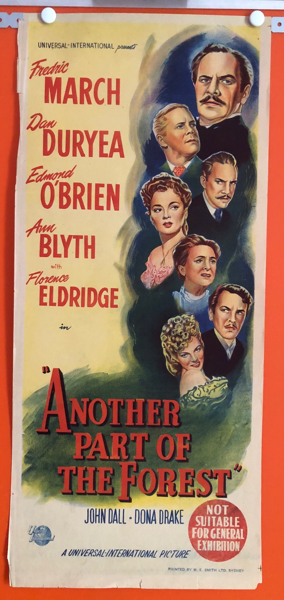 ANOTHER PART OF THE FOREST_9161 (1)