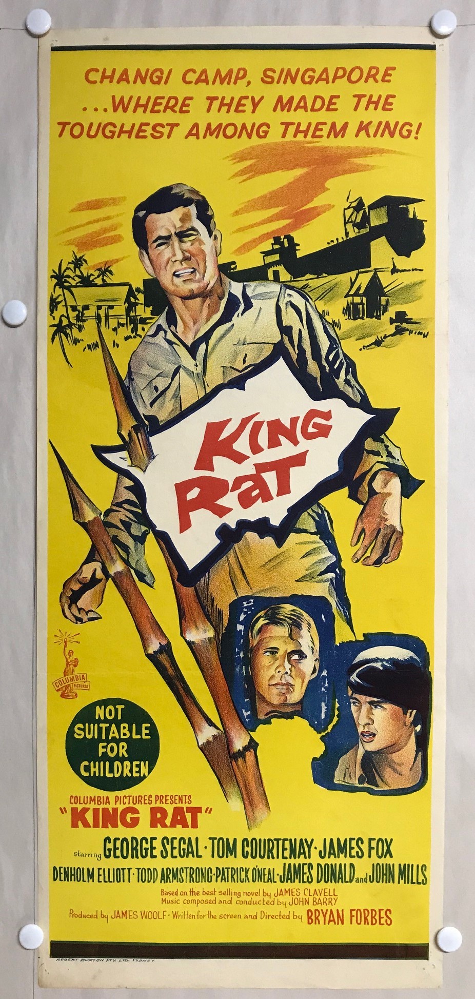 KNG RAT_3060